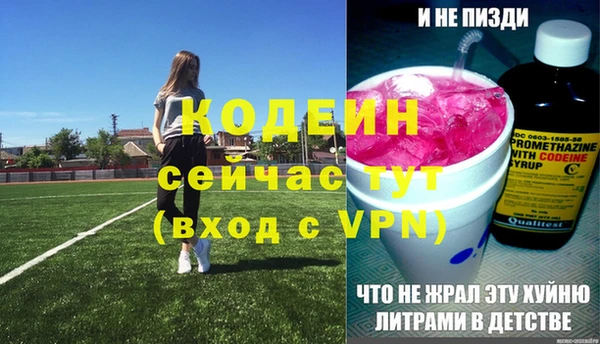 молекула духа Коряжма