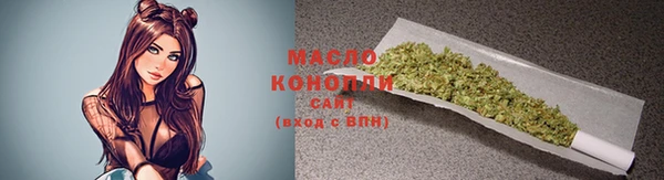 молекула духа Коряжма