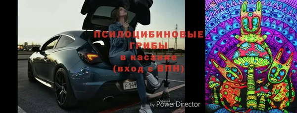 стафф Корсаков