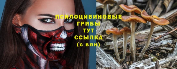 стафф Корсаков