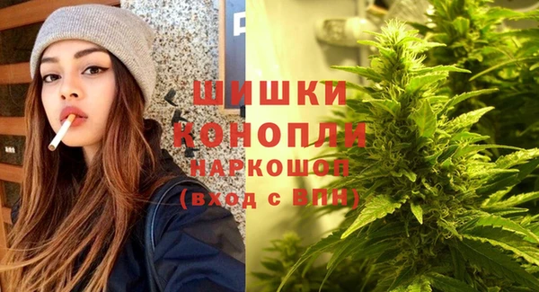 молекула духа Коряжма